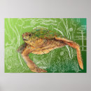 Suche nach schildkröten kunst Grün