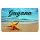 Suche nach seestern magnete Strand