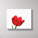 Suche nach tulpe leinwandbilder Flora