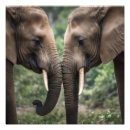 Suche nach elefanten foto poster Tierwelt
