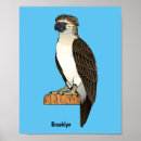 Recherche de dessin d aigle posters Oiseau