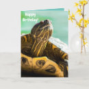 Suche nach lustige schildkröte karten Natur