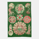 Recherche de espèce marine maison deco Méduses