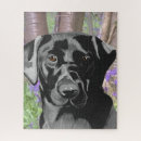Recherche de labrador noir puzzles Portrait