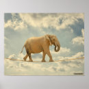 Recherche de elefant posters Animal