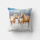 Suche nach palomino kissen Hengst