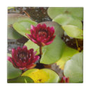 Suche nach lotus fliesen Lilien