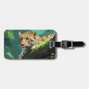 Recherche de jaguar accessoires Exotique