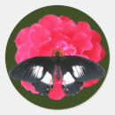 Suche nach frack aufkleber Blume