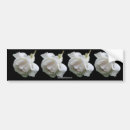 Suche nach weiße rose autoaufkleber Natur