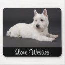 Recherche de westies tapis souris Terrier