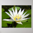 Recherche de healing posters Yoga