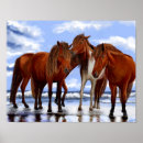 Recherche de debout posters Chevaux