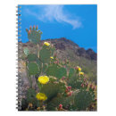 Suche nach tucson kleine notizbücher Südwesten