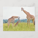 Recherche de girafe amour posters Mignon