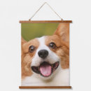 Recherche de photos chien art Dogs