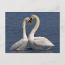 Suche nach sie sind stumm postkarten Vögel