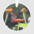 Recherche de papillon de monarque ornements Noël