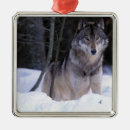 Recherche de faune ornements Canada