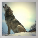 Suche nach wolf im schnee poster Tiere