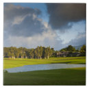 Recherche de golf carreaux Lac