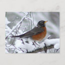 Recherche de cambriolage cartes postales Faune