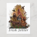 Suche nach irish setter postkarten Jagd