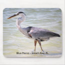 Suche nach blauer reiher mousepads Vogel