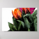 Recherche de réalisme numérique posters Fleur