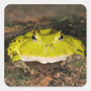 Recherche de vertèbre autocollants Grenouille