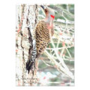 Recherche de pics posters Nord