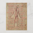 Suche nach menschliche anatomie postkarten Medizinisch