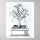 Suche nach weich poster Pflanze