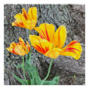 Suche nach yellow poster Rot