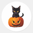 Suche nach kawaii pumpkin aufkleber Katze