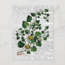 Suche nach squash poster Steampunk