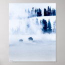 Suche nach nadelbaum poster Nadelbäume