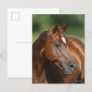 Recherche de headshot cartes postales Bob langrish