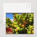 Recherche de grass cartes postales Floral