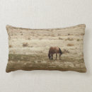 Recherche de peau de daim Chevaux