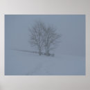 Suche nach einsamer baum poster Winter