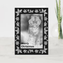 Suche nach sibirischer tiger karten Bild