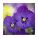 Suche nach pansy fliesen Viola