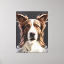 Suche nach border collie leinwandbilder Niedlich