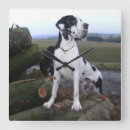 Suche nach great dane wanduhren Dog