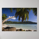 Suche nach mahe poster Strand