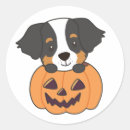 Suche nach bern aufkleber Hundefreund