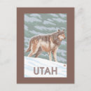 Suche nach graue wölfe andere postkarten Wolf