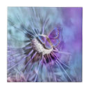 Recherche de papillon carreaux Fleur