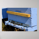 Recherche de ruches posters Insecte